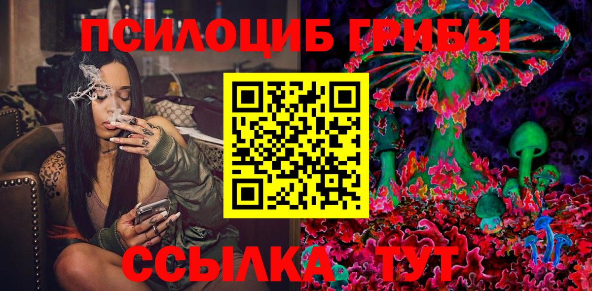 Псилоцибиновые грибы прущие грибы Новомосковск